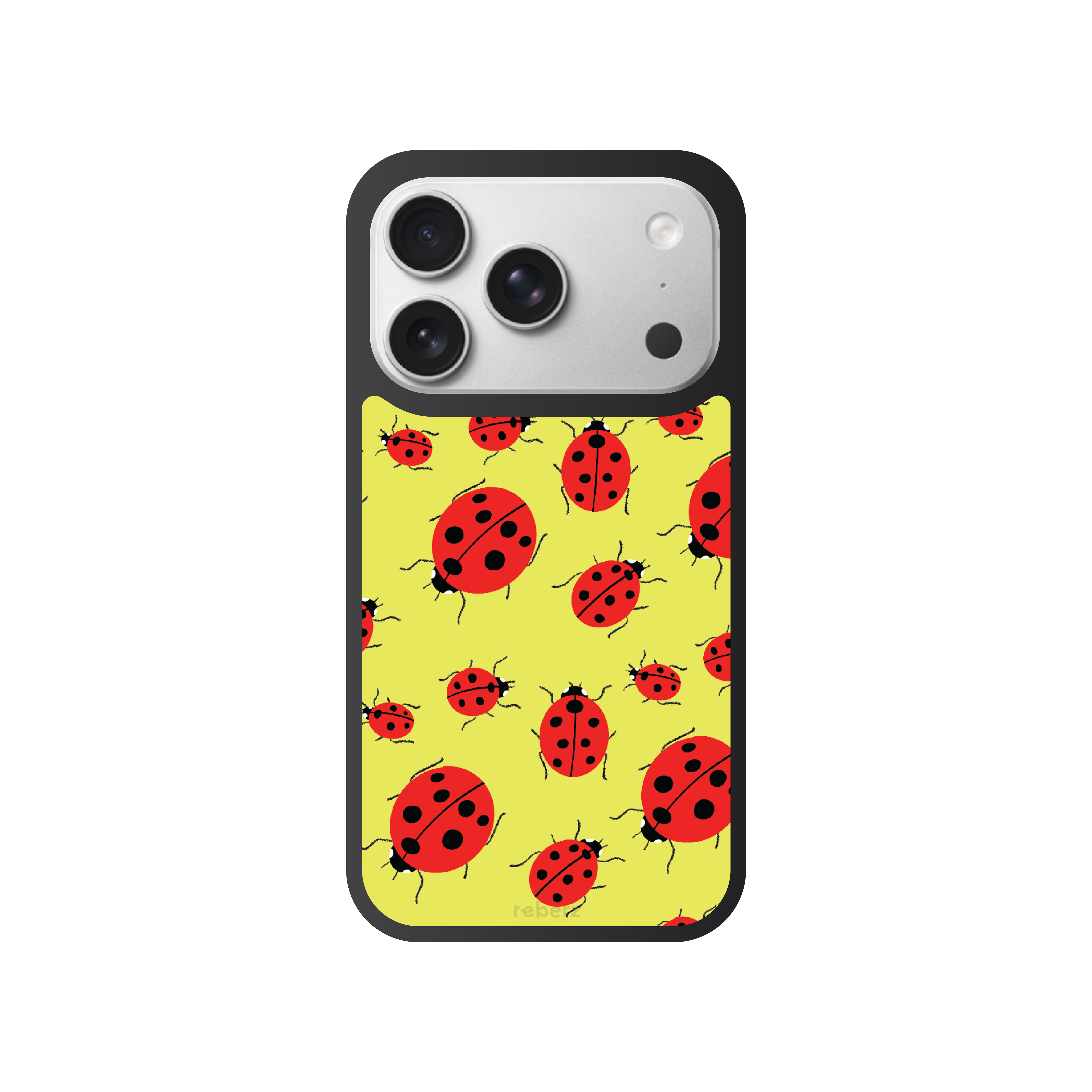Ladybug